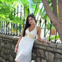 Haripriya New Photo Shoot - Pictures | Picture 115705